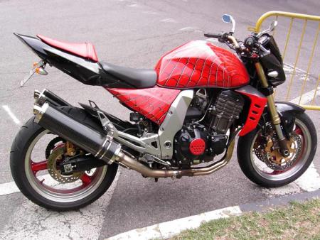 Z1000 pErSoNaLiSé